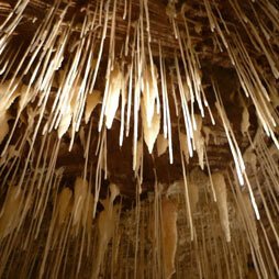 The Mighty Stalactites Fantasy Football Logo