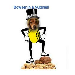Bowser in a Nutshell Fantasy Football Logo