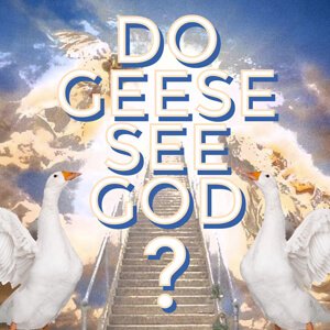 Do Geese See God?